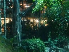 android_upload_pic-绿色时代大酒店