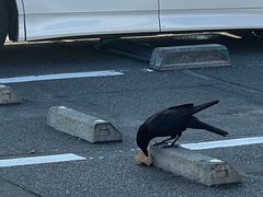 -灌篮高手动画打卡地