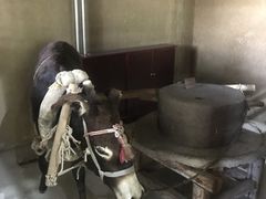 -河北村民俗体验园