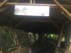 -海口观澜湖火山温泉谷