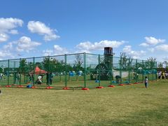 -春花秋色城市公园