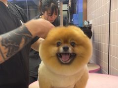 -FAELING PETS美天灵宠物(富力广场店)