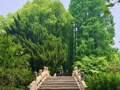 -上海醉白池公园