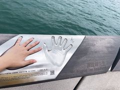 -星光大道