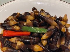 -金蝉食府(维吉奥广场店)