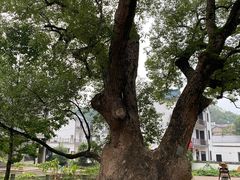 -清漾毛氏文化村