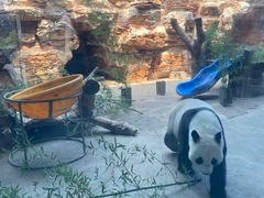 -石家庄市动物园