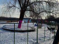 -大兴滨河森林公园