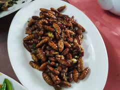 -天强农家菜馆