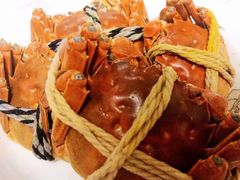 -阳澄湖大闸蟹·琼灵阁牌品牌连锁(吴中总店)