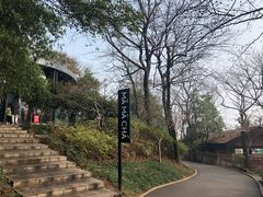 -MAMACHA妈妈茶(岳麓山店)