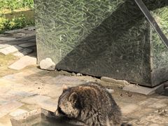 -青藏高原野生动物园
