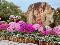 -中国科学院华南植物园