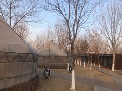 -九十九顶毡房(阜石路店)