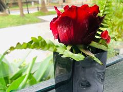 -火车头法国西餐厅