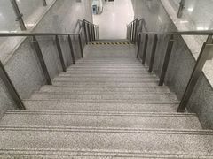 -杨高南路(地铁站)