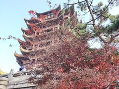 -黄鹤楼公园(黄鹤楼)