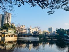 -荔湾湖公园