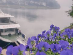 -新安江山水画廊风景区