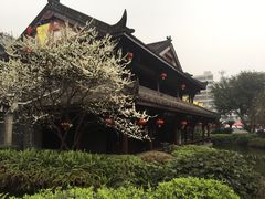 -泸州老窖景区