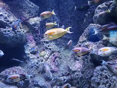 -成都浩海立方海洋公园