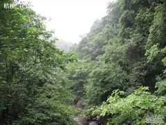 -安吉龙王山风景区