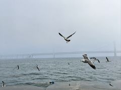 -星海湾跨海大桥