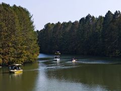 -上海海湾国家森林公园