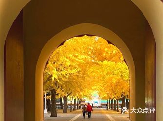 11.10网上预约门票,到达中山公园门口刷身份证入园