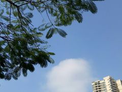 -碧桂园十里银滩