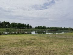 -春花秋色城市公园