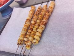 -鼎原力量东北吊炉烧烤(幸福街店)