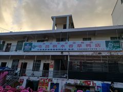门面-霞姐屯昌枫木香草鸭店(海螺店)