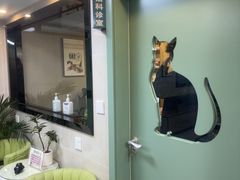 -半岛宠物医院24小时·内窥镜·牙科·碎石中心(府城大道店)