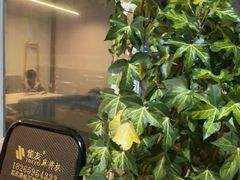 -水边(郯城店)