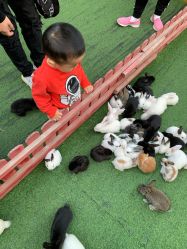 -萌宠亲子动物乐园(槐房万达店)