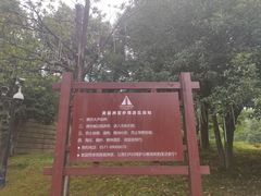 -美丽洲堂