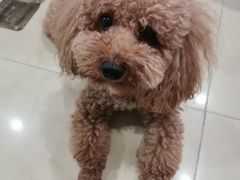 -泰顺江南春面馆