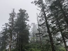 -瓦屋山景区