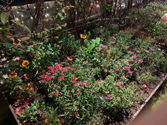-冰冰龙虾·江湖菜·花园江景餐厅