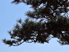 -沂蒙山旅游区云蒙景区(蒙山国家森林公园)