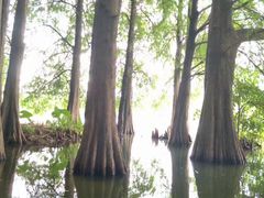 -人民公园(罗湖区)