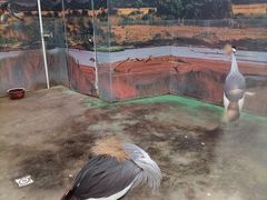 -洛阳龙门海洋馆