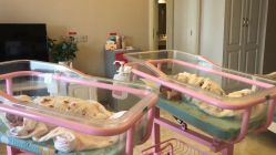 -大美臻喜母婴(南坪店)