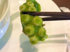 芥末青酱八爪鱼-CHIC1699远洋私厨