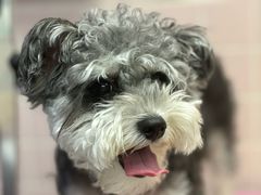 -FAELING PETS美天灵宠物(富力广场店)