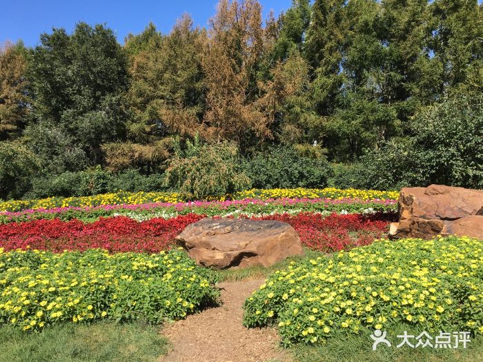 百花園-圖片-長春景點/周邊遊-大眾點評網