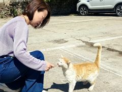 -双龙峡
