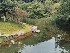 -桃花岭景区