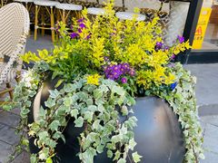 -Peet's Coffee皮爷咖啡(大学路店)